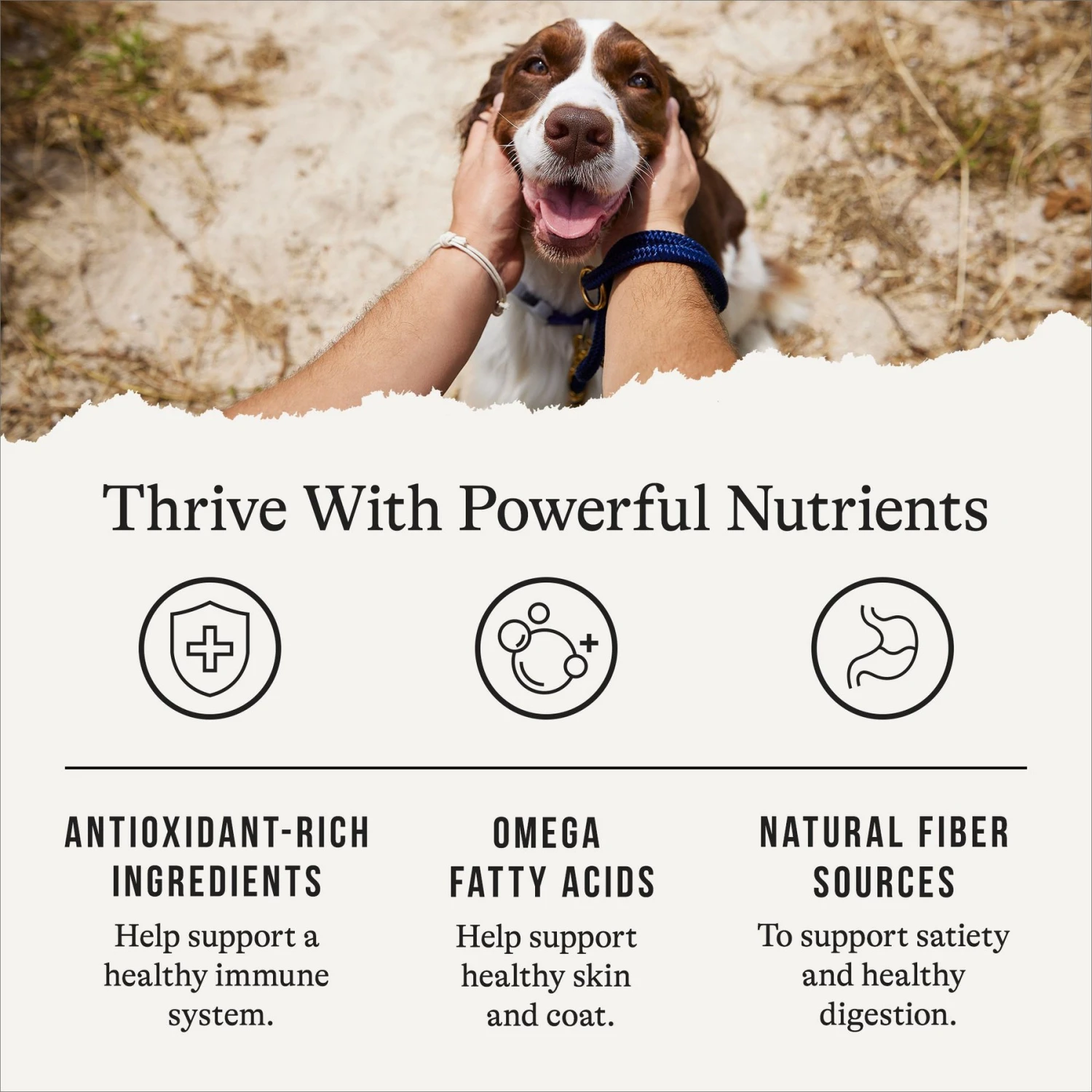 American Journey Healthy Weight Salmon & Sweet Potato Recipe Grain-Free Dry Dog Food, 24-lb Bag 5 American Journey Healthy Weight Salmon & Sweet Potato Recipe Grain-Free Dry Dog Food, 24-lb Bag - Image 5