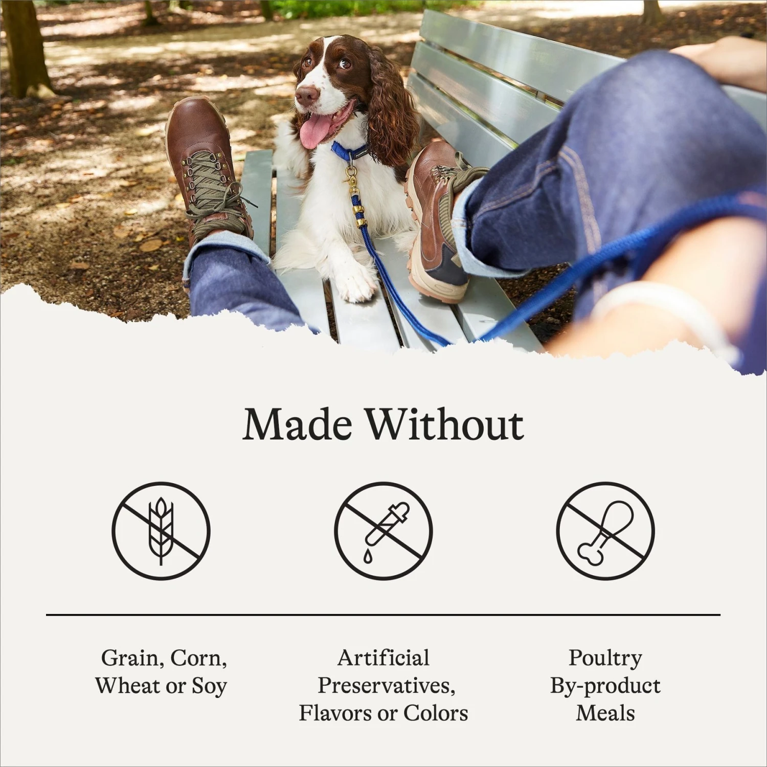 American Journey Healthy Weight Salmon & Sweet Potato Recipe Grain-Free Dry Dog Food, 24-lb Bag 7 American Journey Healthy Weight Salmon & Sweet Potato Recipe Grain-Free Dry Dog Food, 24-lb Bag - Image 7