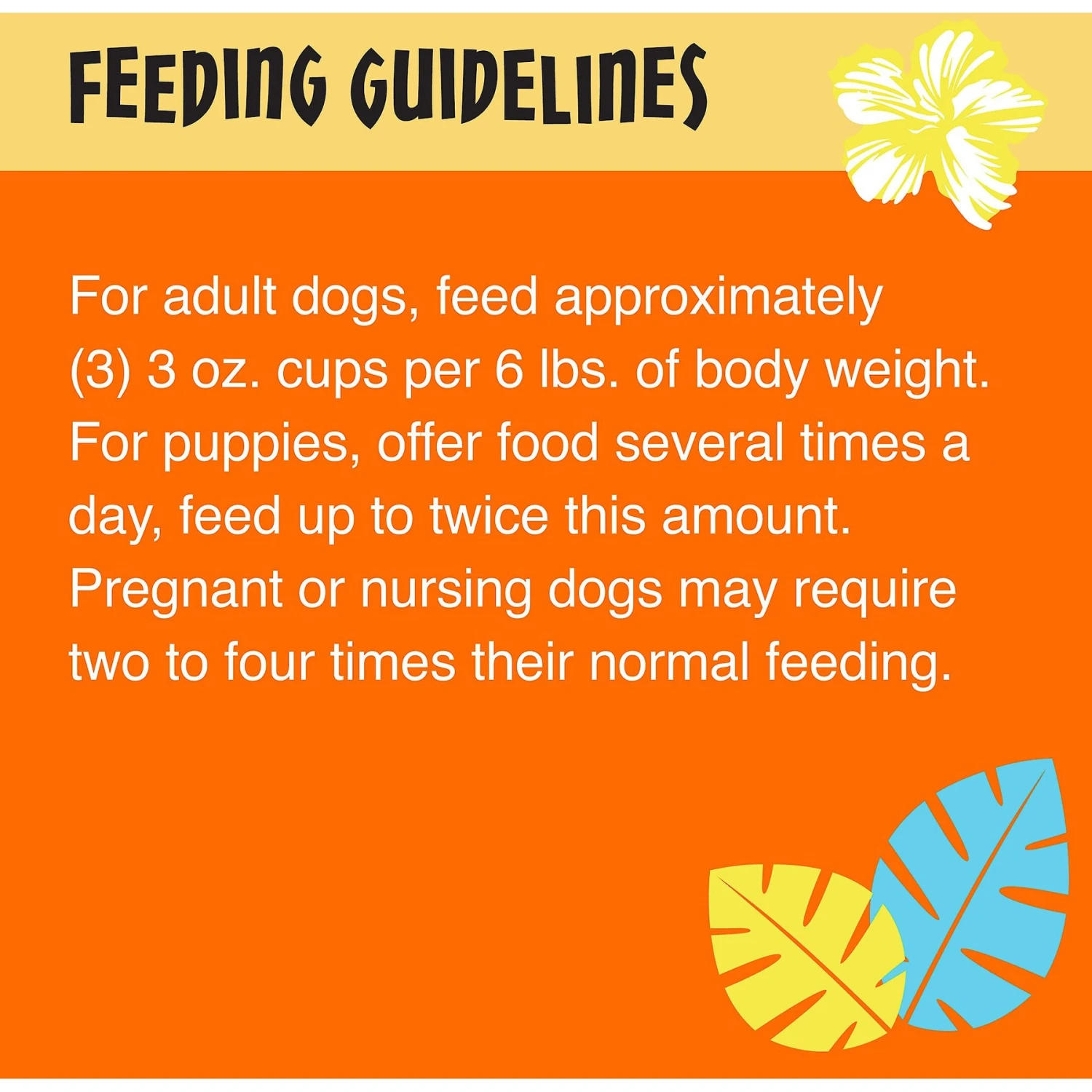 Tiki Dog Meaty High Protein Diet Chicken Recipe In Broth Grain-Free Wet Dog Food, 3-oz Cup, Case Of 4 7 Tiki Dog Meaty High Protein Diet Chicken Recipe In Broth Grain-Free Wet Dog Food, 3-oz Cup, Case Of 4 - Image 7