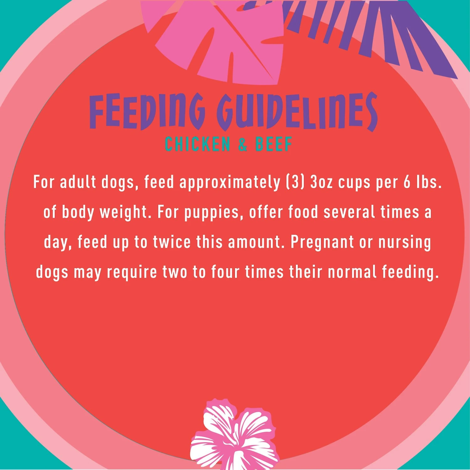 Tiki Dog Meaty High Protein Diet Chicken With Beef Recipe In Broth Grain-Free Wet Dog Food, 3-oz Cup, Case Of 4 6 Tiki Dog Meaty High Protein Diet Chicken With Beef Recipe In Broth Grain-Free Wet Dog Food, 3-oz Cup, Case Of 4 - Image 6
