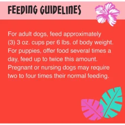 Tiki Dog Meaty High Protein Diet Chicken With Beef Recipe In Broth Grain-Free Wet Dog Food, 3-oz Cup, Case Of 4 13 Tiki Dog Meaty High Protein Diet Chicken With Beef Recipe In Broth Grain-Free Wet Dog Food, 3-oz Cup, Case Of 4 -Pawsphoria Sales Store 186351 PT6. AC SS1800 V1565099586