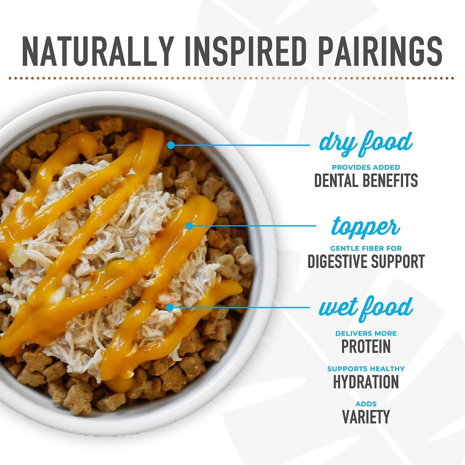 Tiki Dog Meaty High Protein Diet Variety Pack Grain-Free Wet Dog Food, 3-oz Cup, Case Of 10 8 Tiki Dog Meaty High Protein Diet Variety Pack Grain-Free Wet Dog Food, 3-oz Cup, Case Of 10 - Image 8