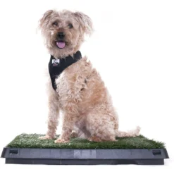 Downtown Pet Supply Pee Turf Portable Dog Potty With Drawer, 20 X 25-in 14 Downtown Pet Supply Pee Turf Portable Dog Potty With Drawer, 20 X 25-in -Pawsphoria Sales Store 190998 PT6. AC SS1800 V1591362707
