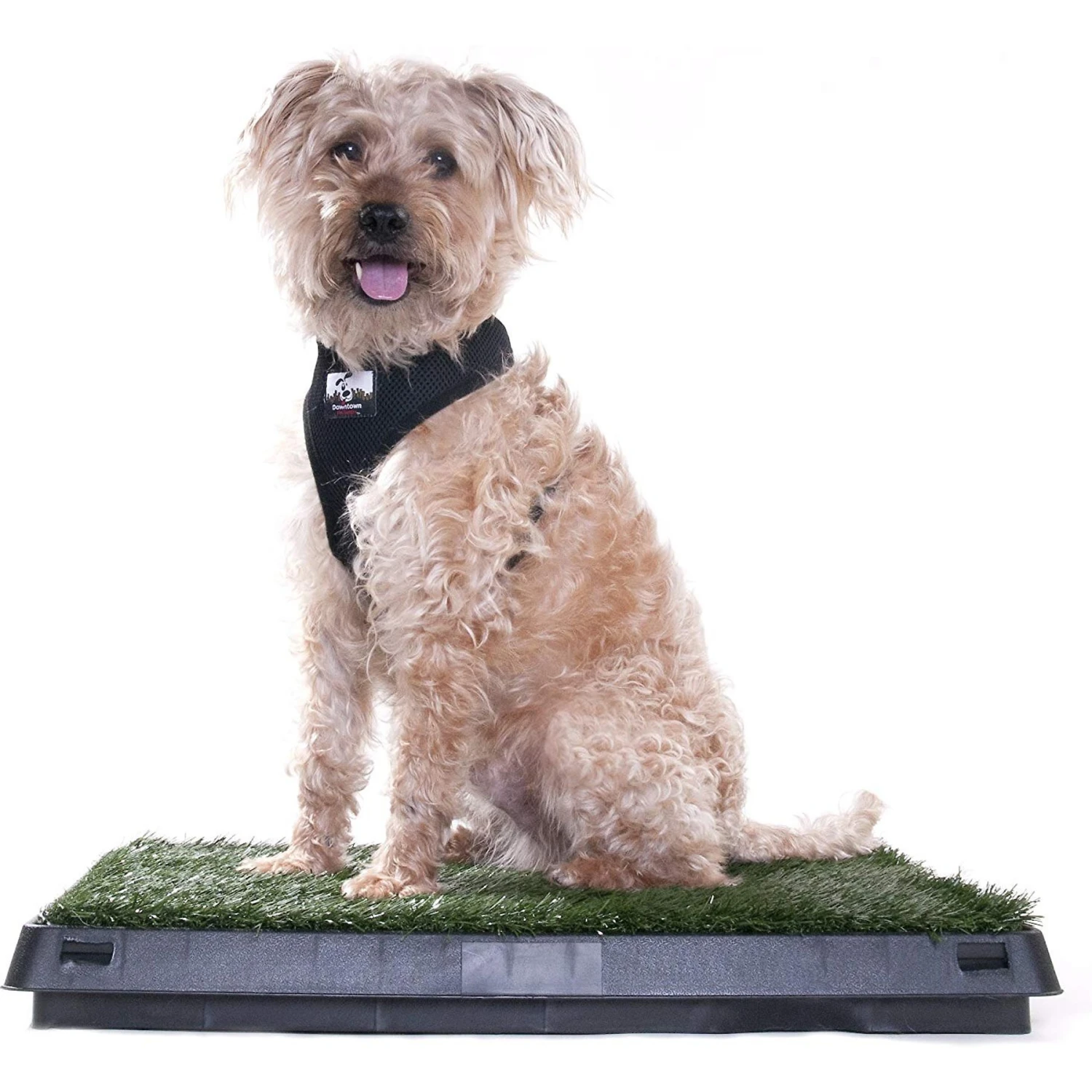 Downtown Pet Supply Pee Turf Portable Dog Potty With Drawer, 20 X 25-in 7 Downtown Pet Supply Pee Turf Portable Dog Potty With Drawer, 20 X 25-in - Image 7
