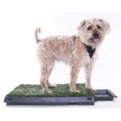 Downtown Pet Supply Pee Turf Portable Dog Potty With Drawer, 20 X 25-in 15 Downtown Pet Supply Pee Turf Portable Dog Potty With Drawer, 20 X 25-in -Pawsphoria Sales Store 190998 PT7. AC SS1800 V1591362707