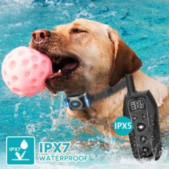 GroovyPets 650 Yard Waterproof Dog Training Shock Collar -Pawsphoria Sales Store 191076 PT5. AC SS1800 V1626741694