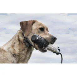 SportDOG Sporthunter SD-425 Waterproof Add-A-Dog Collar -Pawsphoria Sales Store 191890 PT4. AC SS1800 V1595981767