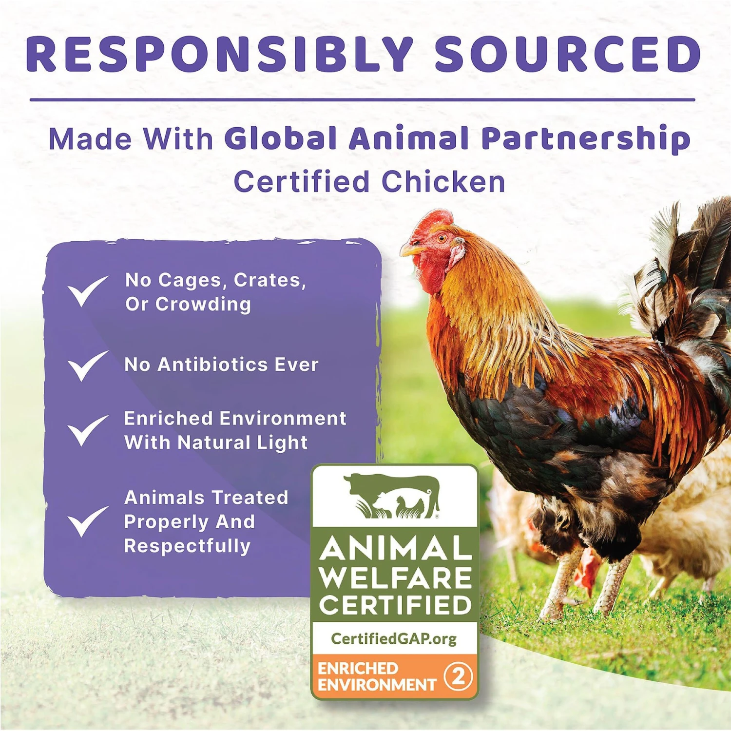 Halo Holistic Chicken Stew Adult Canned Dog Food 7 Halo Holistic Chicken Stew Adult Canned Dog Food - Image 7