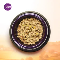 Halo Lamb Stew Adult Canned Dog Food -Pawsphoria Sales Store 194484 PT3. AC SS1800 V1594840602