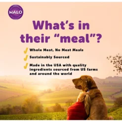 Halo Lamb Stew Adult Canned Dog Food -Pawsphoria Sales Store 194484 PT4. AC SS1800 V1594849264