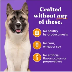 Halo Holistic Chicken Recipe Senior Canned Dog Food 12 Halo Holistic Chicken Recipe Senior Canned Dog Food -Pawsphoria Sales Store 194491 PT5. AC SS1800 V1695310200