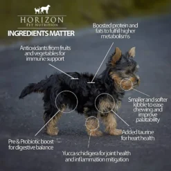 Horizon Amicus Small & Mini Breed Grain-Free Salmon Formula Dry Dog Food -Pawsphoria Sales Store 194765 PT3. AC SS1800 V1607988456