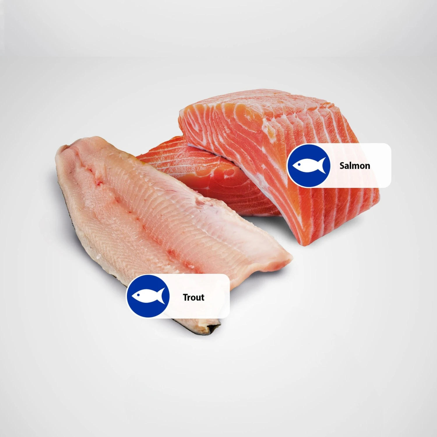 Farmina Natural & Delicious Ocean Trout & Salmon Canned Dog Food 4 Farmina Natural & Delicious Ocean Trout & Salmon Canned Dog Food - Image 4