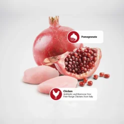 Farmina Natural & Delicious Prime Chicken & Pomegranate Canned Dog Food 7 Farmina Natural & Delicious Prime Chicken & Pomegranate Canned Dog Food -Pawsphoria Sales Store 197047 PT5. AC SS1800 V1591128677