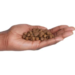 Country Vet Naturals 24/14 Healthy Diet Dry Dog Food -Pawsphoria Sales Store 199175 PT2. AC SS1800 V1569429663