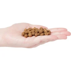 Country Vet Naturals 24-10 Senior Dog Food -Pawsphoria Sales Store 199189 PT2. AC SS1800 V1569428933