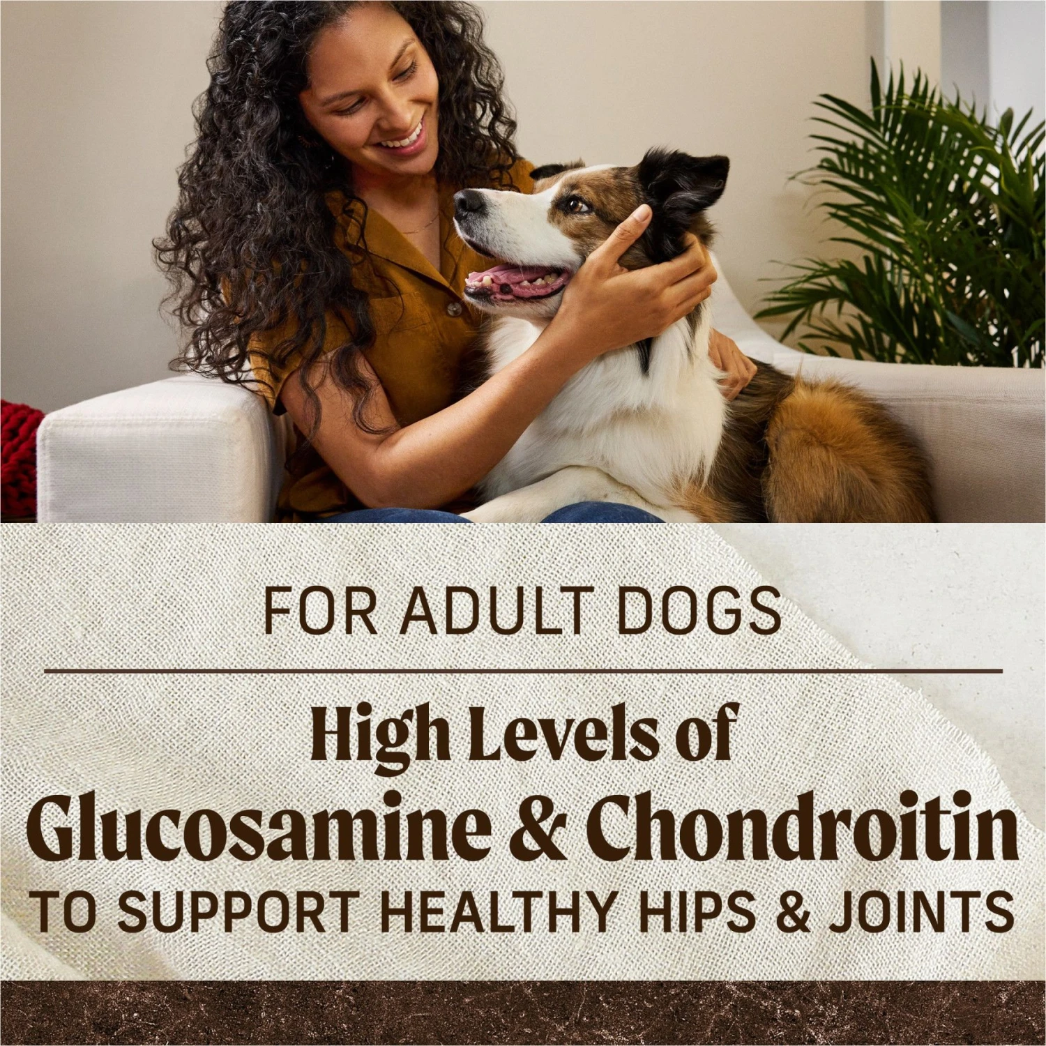 Merrick Real Texas Beef + Sweet Potato Recipe Grain-Free Chicken-Free Adult Dry Dog Food 9 Merrick Real Texas Beef + Sweet Potato Recipe Grain-Free Chicken-Free Adult Dry Dog Food - Image 9