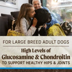 Merrick Grain-Free Large Breed Dry Dog Food Real Chicken & Sweet Potato Recipe -Pawsphoria Sales Store 200603 PT8. AC SS1800 V1687787959