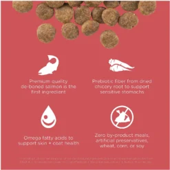 Go! Solutions Sensitivities Limited Ingredient Salmon Grain-Free Dry Dog Food 11 Go! Solutions Sensitivities Limited Ingredient Salmon Grain-Free Dry Dog Food -Pawsphoria Sales Store 201995 PT2. AC SS1800 V1638568772