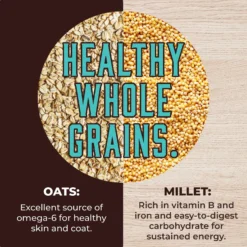 Inception Fish Recipe Dry Dog Food -Pawsphoria Sales Store 205321 PT4. AC SS1800 V1642582991