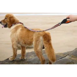 Chai's Choice Premium Trail Runner Multi Handle Heavy Duty Training Polyester Reflective Dog Leash -Pawsphoria Sales Store 207557 PT4. AC SS1800 V1628228479