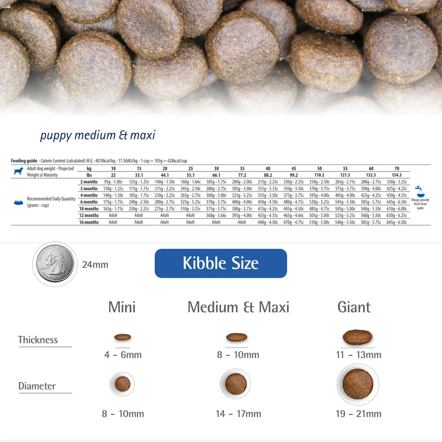 Farmina N&D Ancestral Grain Lamb & Blueberry Recipe Puppy Medium & Maxi Dry Dog Food 4 Farmina N&D Ancestral Grain Lamb & Blueberry Recipe Puppy Medium & Maxi Dry Dog Food - Image 4