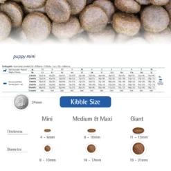 Farmina N&D Ancestral Grain Lamb & Blueberry Recipe Puppy Mini Dry Dog Food 10 Farmina N&D Ancestral Grain Lamb & Blueberry Recipe Puppy Mini Dry Dog Food -Pawsphoria Sales Store 207655 PT5. AC SS1800 V1678910006