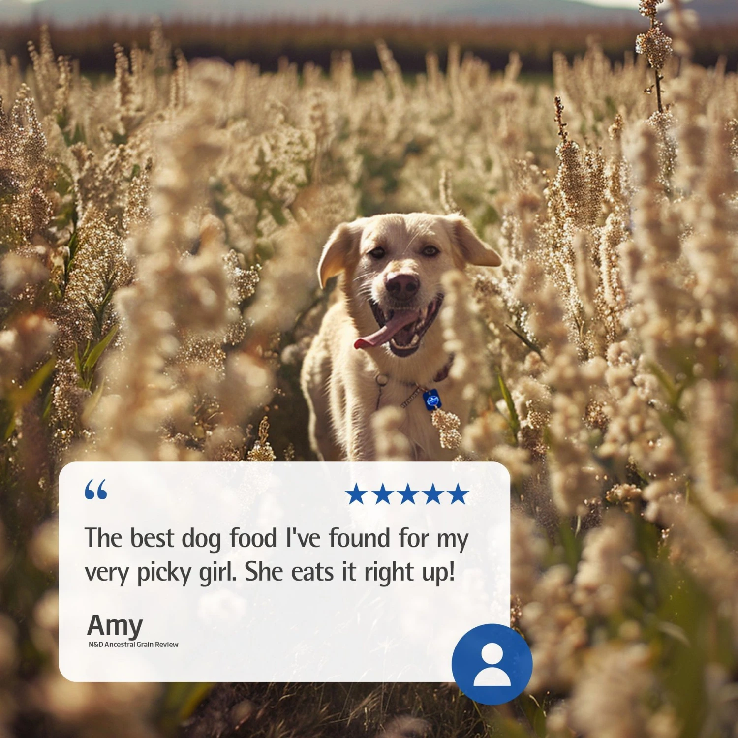 Farmina N&D Ancestral Grain Lamb & Blueberry Recipe Puppy Mini Dry Dog Food 6 Farmina N&D Ancestral Grain Lamb & Blueberry Recipe Puppy Mini Dry Dog Food - Image 6