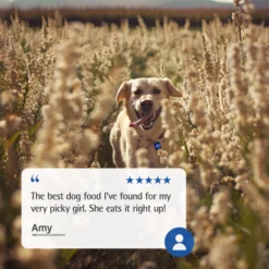 Farmina N&D Ancestral Grain Lamb & Blueberry Recipe Adult Mini Breed Dry Dog Food -Pawsphoria Sales Store 207660 PT7. AC SS1800 V1678909952