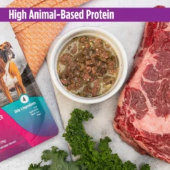 Nulo FreeStyle Beef, Beef Liver, & Kale In Broth Dog Food Topper -Pawsphoria Sales Store 209727 PT2. AC SS1800 V1666733687