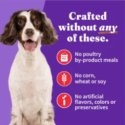 Halo Holistic Beef Recipe In Broth Adult Wet Dog Food -Pawsphoria Sales Store 209769 PT4. AC SS1800 V1698766660