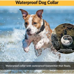 Educator By E-Collar Technologies Zen Mini 1/2 Mile E-Collar Waterproof Dog Training Collar -Pawsphoria Sales Store 210064 PT5. AC SS1800 V1627312270