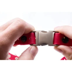 Educator By E-Collar Technologies Educator Quick Snap Bungee Dog Collar 8 Educator By E-Collar Technologies Educator Quick Snap Bungee Dog Collar -Pawsphoria Sales Store 210127 PT5. AC SS1800 V1600739181