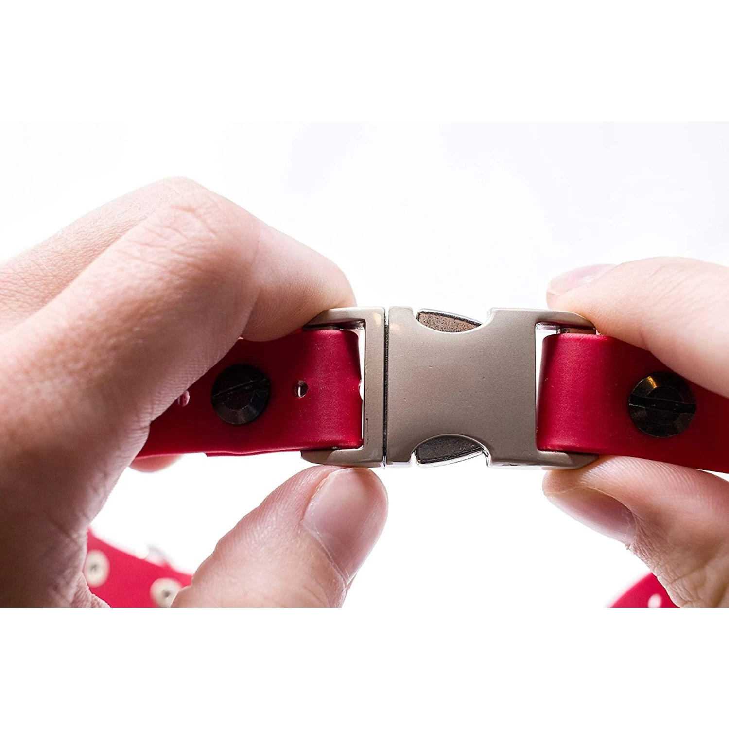 Educator By E-Collar Technologies Educator Quick Snap Bungee Dog Collar 4 Educator By E-Collar Technologies Educator Quick Snap Bungee Dog Collar - Image 4