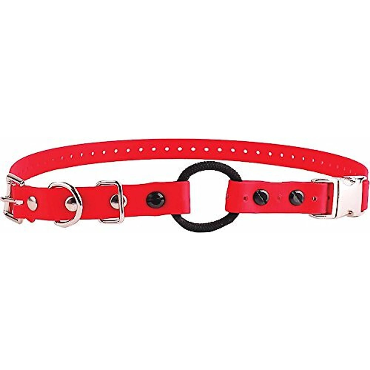 Educator By E-Collar Technologies Educator Quick Snap Bungee Dog Collar 1 Educator By E-Collar Technologies Educator Quick Snap Bungee Dog Collar