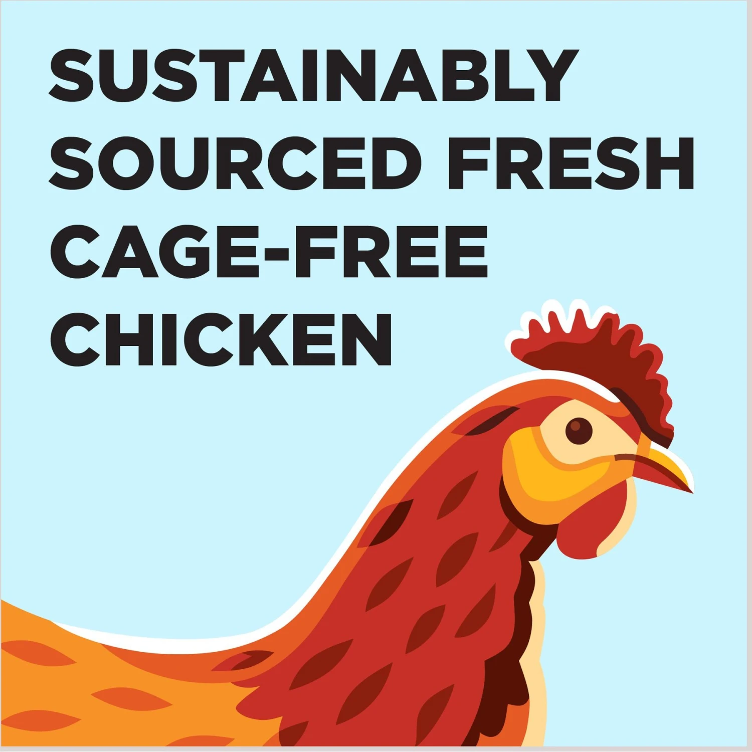 BIXBI Liberty Limited Ingredient Chicken Recipe Canned Dog Food, 12.5-oz Can, Case Of 12 3 BIXBI Liberty Limited Ingredient Chicken Recipe Canned Dog Food, 12.5-oz Can, Case Of 12 - Image 3