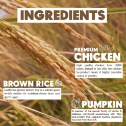 Lucy Pet Products Limited Ingredient Diet Chicken, Brown Rice & Pumpkin Formula Dry Dog Food 15 Lucy Pet Products Limited Ingredient Diet Chicken, Brown Rice & Pumpkin Formula Dry Dog Food -Pawsphoria Sales Store 212701 PT6. AC SS1800 V1575927235