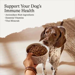 American Journey Protein & Grains Small Breed Chicken, Brown Rice & Vegetables Recipe Adult Dry Dog Food -Pawsphoria Sales Store 213621 PT2. AC SS1800 V1700243655