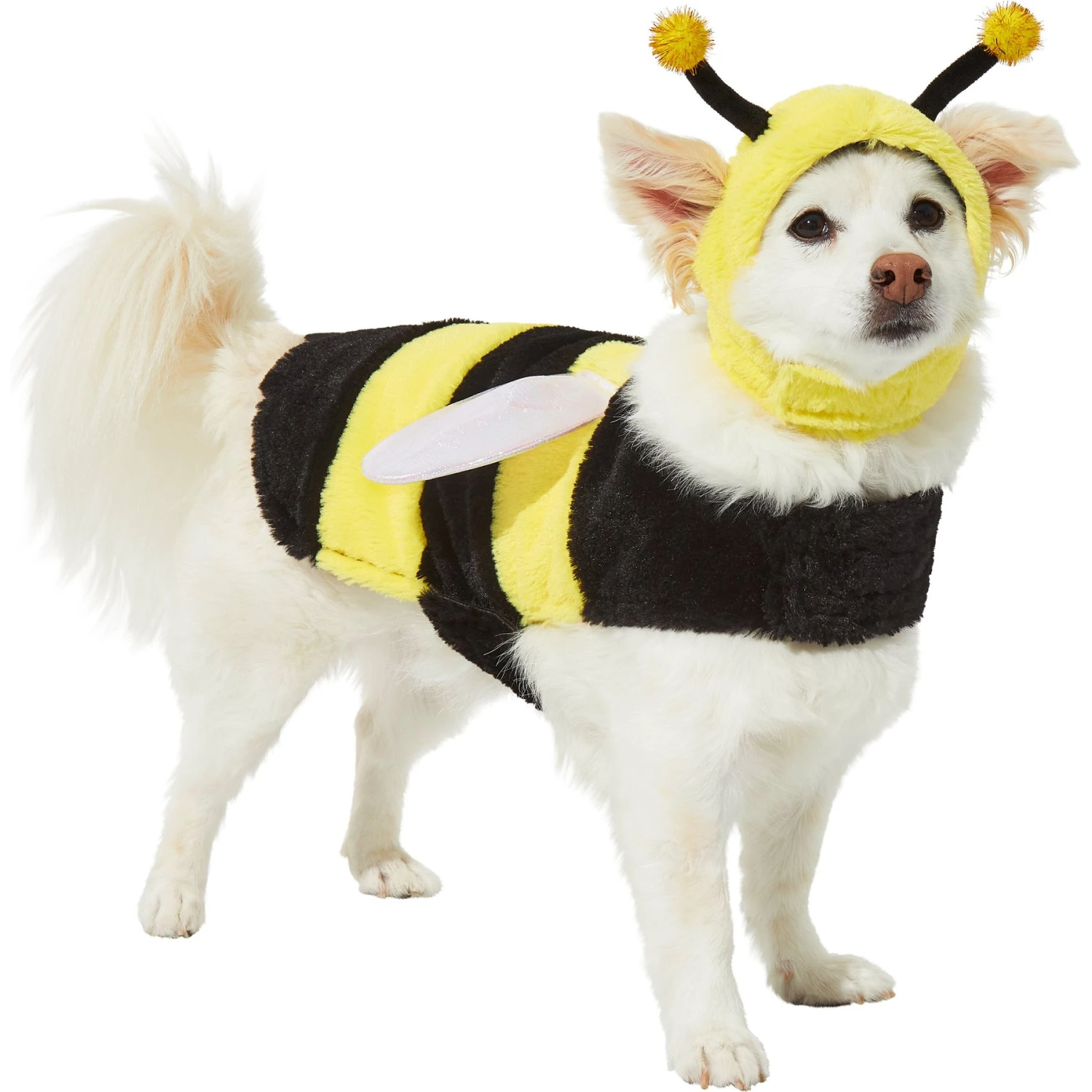 Frisco Bumble Bee Dog & Cat Costume 1 Frisco Bumble Bee Dog & Cat Costume