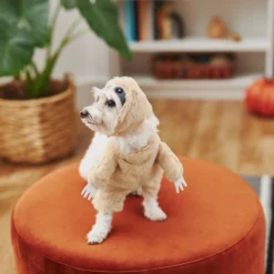 Frisco Front Walking Sloth Dog & Cat Costume -Pawsphoria Sales Store 215539 PT8. AC SS1800 V1599141353