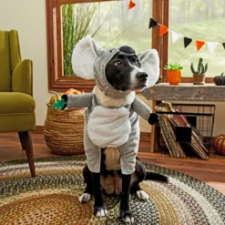 Frisco Front Walking Koala Dog & Cat Costume -Pawsphoria Sales Store 215546 PT8. AC SS1800 V1599139863