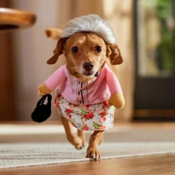 Frisco Front Walking Granny Dog & Cat Costume -Pawsphoria Sales Store 215577 PT8. AC SS1800 V1689621333