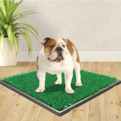 Four Paws Wee-Wee Premium Patch Grass Mat For Dogs, 22-in X 23-in 11 Four Paws Wee-Wee Premium Patch Grass Mat For Dogs, 22-in X 23-in -Pawsphoria Sales Store 216074 PT3. AC SS1800 V1578325702