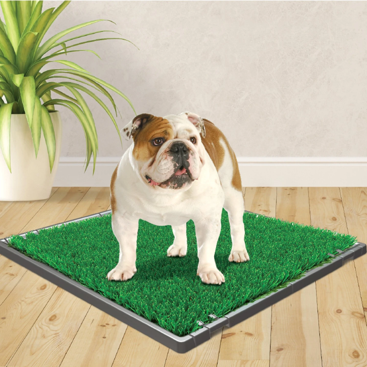 Four Paws Wee-Wee Premium Patch Grass Mat For Dogs, 22-in X 23-in 4 Four Paws Wee-Wee Premium Patch Grass Mat For Dogs, 22-in X 23-in - Image 4