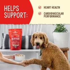 Stella & Chewy's Stella's Solutions Healthy Heart Support Chicken Freeze-Dried Raw Dog Food -Pawsphoria Sales Store 216634 PT3. AC SS1800 V1580221400