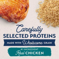 Natural Balance Limited Ingredient Chicken & Brown Rice Puppy Recipe Dry Dog Food 10 Natural Balance Limited Ingredient Chicken & Brown Rice Puppy Recipe Dry Dog Food -Pawsphoria Sales Store 216662 PT3. AC SS1800 V1652125030