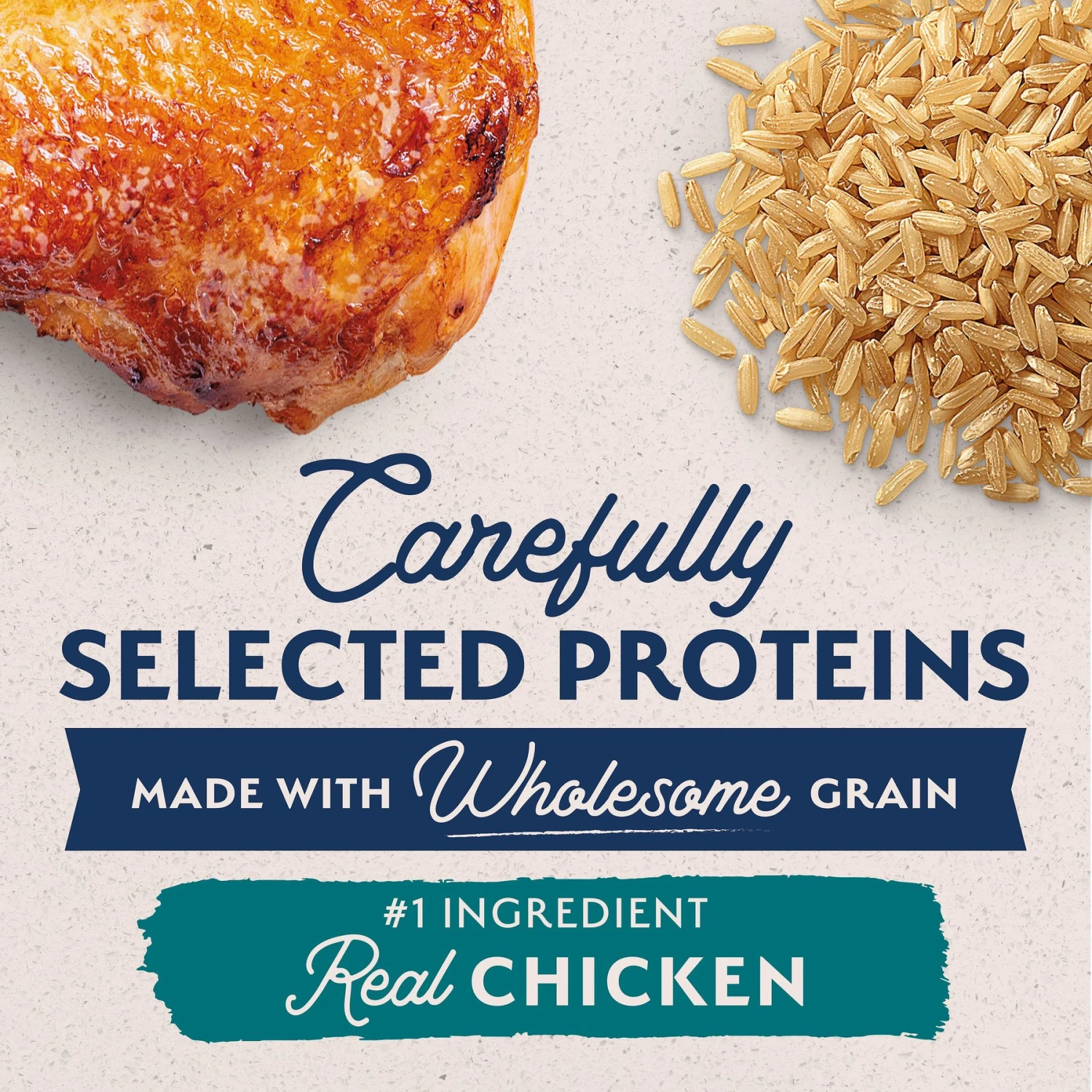 Natural Balance Limited Ingredient Chicken & Brown Rice Puppy Recipe Dry Dog Food 3 Natural Balance Limited Ingredient Chicken & Brown Rice Puppy Recipe Dry Dog Food - Image 3