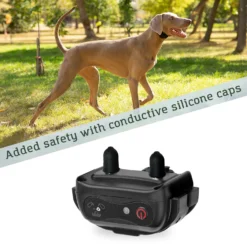 PetSpy XPro-3 1/2 Mile Waterproof Remote Dog Training Collar, 3 Count -Pawsphoria Sales Store 216681 PT4. AC SS1800 V1579528379