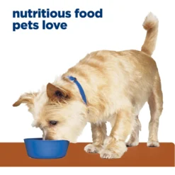 Hill's Prescription Diet K/d Kidney Care Variety Pack Wet & Dry Dog Food -Pawsphoria Sales Store 217399 PT5. AC SS1800 V1698436578