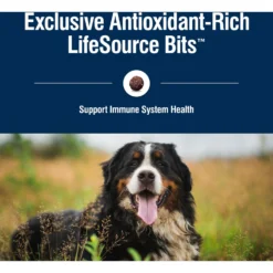 Blue Buffalo True Solutions Blissful Belly Digestive Care Formula Dry Dog Food -Pawsphoria Sales Store 218287 PT6. AC SS1800 V1696449661